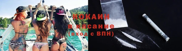 сатива Семикаракорск