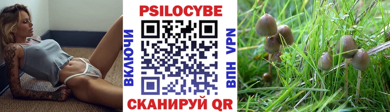 MEGA tor  Строитель  Псилоцибиновые грибы MAGIC MUSHROOMS 