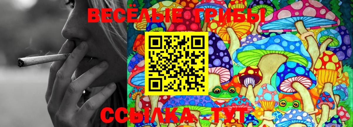 Галлюциногенные грибы GOLDEN TEACHER  Вход с VPN  Строитель 